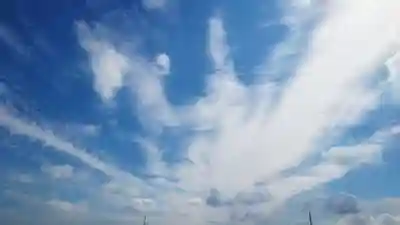 白山社（井堀）の景色