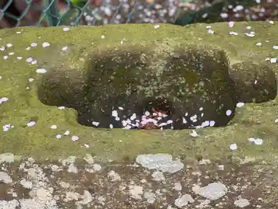 高館義経堂のその他建物