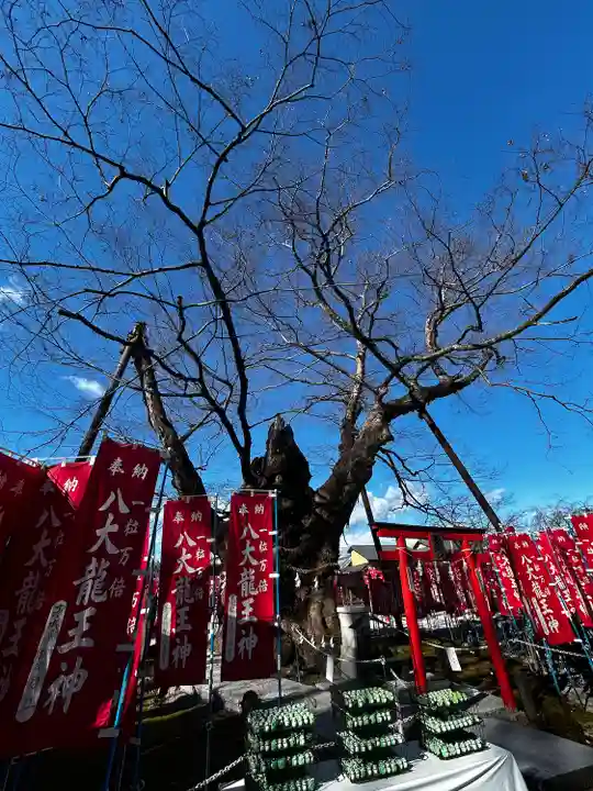 秩父今宮神社(埼玉県)