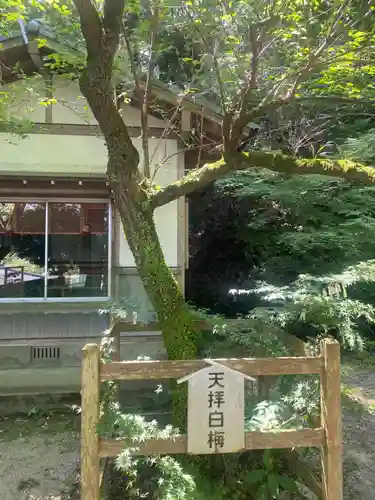 御自作天満宮(福岡県)