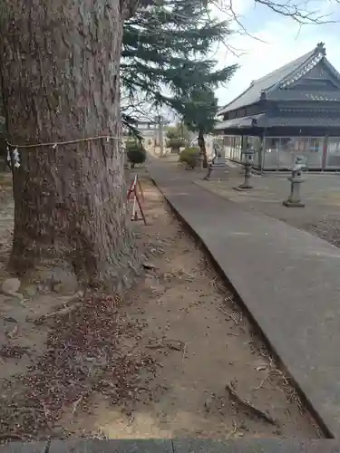愛宕神社(宮城県)