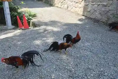 大甕神社(茨城県)