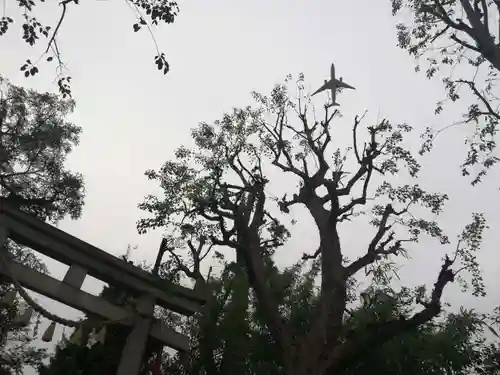 居木神社の景色