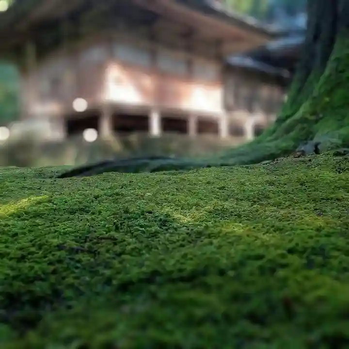 安波賀春日神社(福井県)