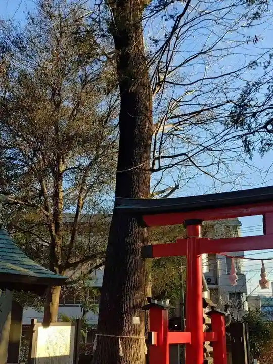 大谷場氷川神社(埼玉県)