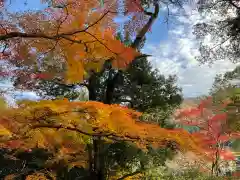 永源寺の自然