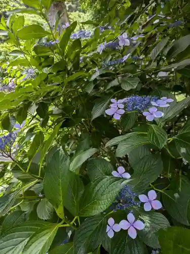 御霊神社の自然