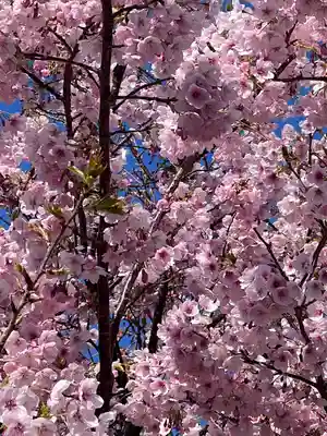 遠見岬神社(千葉県)