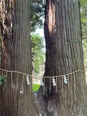 日吉神社(千葉県)