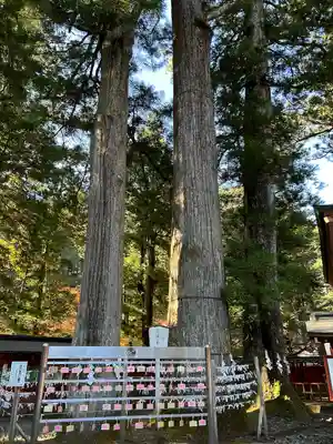 日光二荒山神社(栃木県)