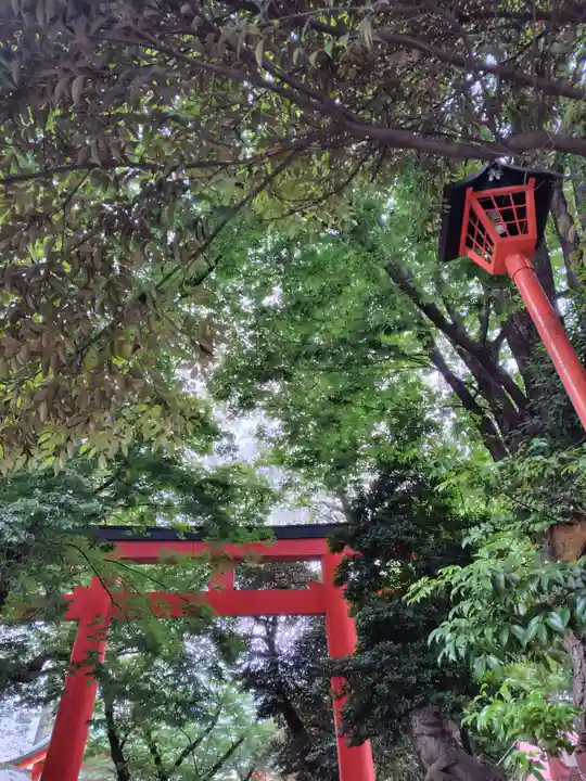 花園神社の自然