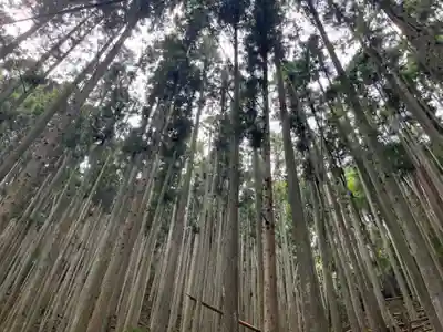 空也の滝(京都府)