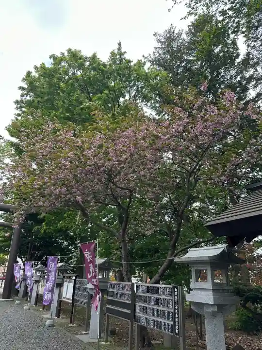 豊栄神社の{uncategorized: "未分類", other: "その他", undefined: "問題あり", building: "その他建物", grave: "お墓", sacred_gate: "鳥居", guardian: "狛犬", statue: "像", buddha: "仏像", history: "歴史", nature: "自然", garden: "庭園", animal: "動物", pagoda: "塔", temizu: "手水舎", mountain_gate: "山門・神門", sanctuary: "本殿・本堂", subordinate: "末社・摂社", art: "芸術", scenery: "景色", jizo: "地蔵", ema: "絵馬", goshuin: "御朱印", omikuji: "おみくじ", items: "授与品その他", amulet: "お守り", goshuincho: "御朱印帳", eats: "食事", festival: "お祭り", votive_dance: "神楽", shichigosan: "七五三参", wedding: "結婚式", experience: "体験その他", initially: "初詣", around: "周辺", anti_infection: "感染症対策"}