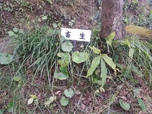 宝満寺(大分県)