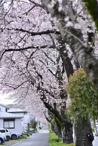 白笹稲荷神社(神奈川県)