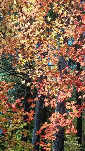 石道寺(滋賀県)