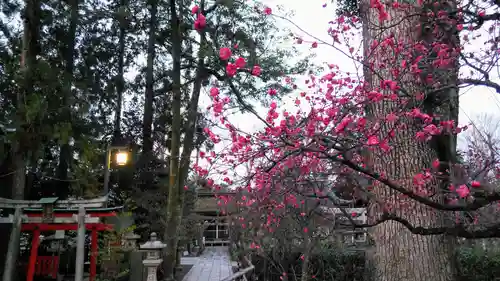 北野天満宮のその他建物