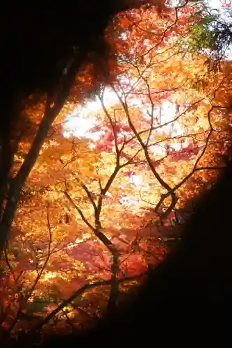 今熊野観音寺(京都府)