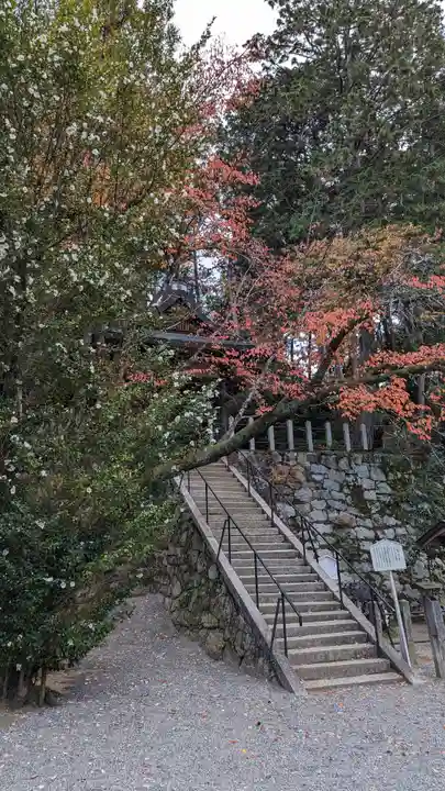 吉田神社(京都府)