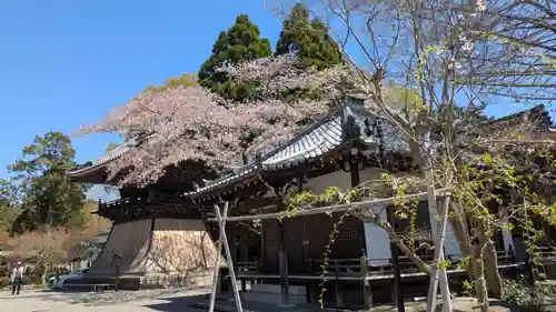 西教寺(滋賀県)