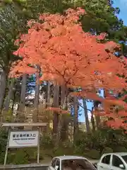 高野山金剛峯寺奥の院(和歌山県)