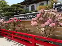 中山寺(兵庫県)