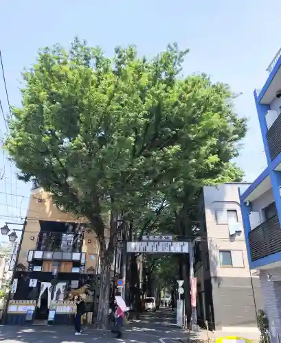 鬼子母神堂　(法明寺）の{uncategorized: "未分類", other: "その他", undefined: "問題あり", building: "その他建物", grave: "お墓", sacred_gate: "鳥居", guardian: "狛犬", statue: "像", buddha: "仏像", history: "歴史", nature: "自然", garden: "庭園", animal: "動物", pagoda: "塔", temizu: "手水舎", mountain_gate: "山門・神門", sanctuary: "本殿・本堂", subordinate: "末社・摂社", art: "芸術", scenery: "景色", jizo: "地蔵", ema: "絵馬", goshuin: "御朱印", omikuji: "おみくじ", items: "授与品その他", amulet: "お守り", goshuincho: "御朱印帳", eats: "食事", festival: "お祭り", votive_dance: "神楽", shichigosan: "七五三参", wedding: "結婚式", experience: "体験その他", initially: "初詣", around: "周辺", anti_infection: "感染症対策"}
