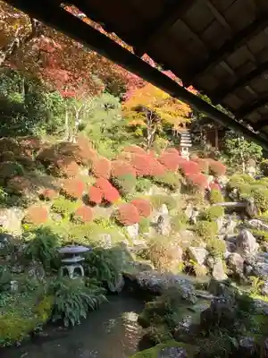 柳谷観音　楊谷寺(京都府)