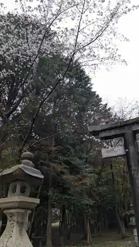 大原野神社(京都府)