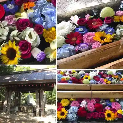 札幌護國神社の手水舎