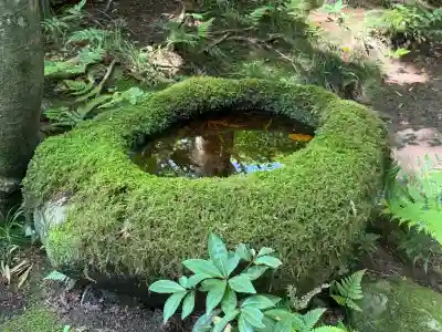 五所駒瀧神社(茨城県)