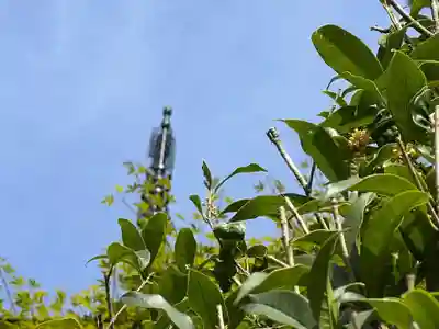 国宝 大法寺(長野県)