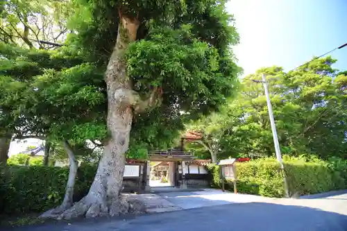 弘法寺の自然