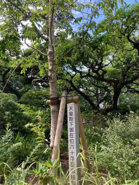 布多天神社の自然