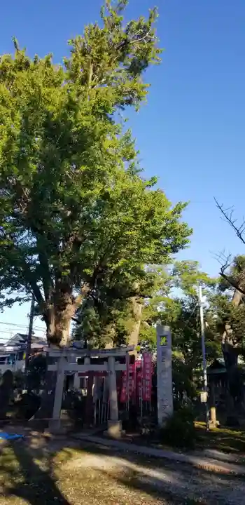 半田稲荷神社の鳥居