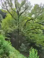 正法寺(滋賀県)