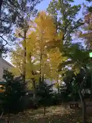 八雲氷川神社(東京都)