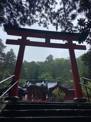 箱根神社の鳥居