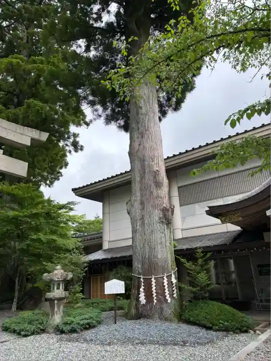富士山東口本宮 冨士浅間神社(静岡県)
