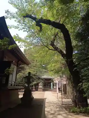 神明氷川神社のその他建物
