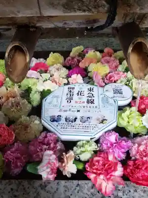 青山熊野神社(東京都)