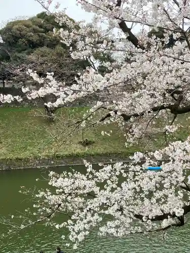 靖國神社の自然