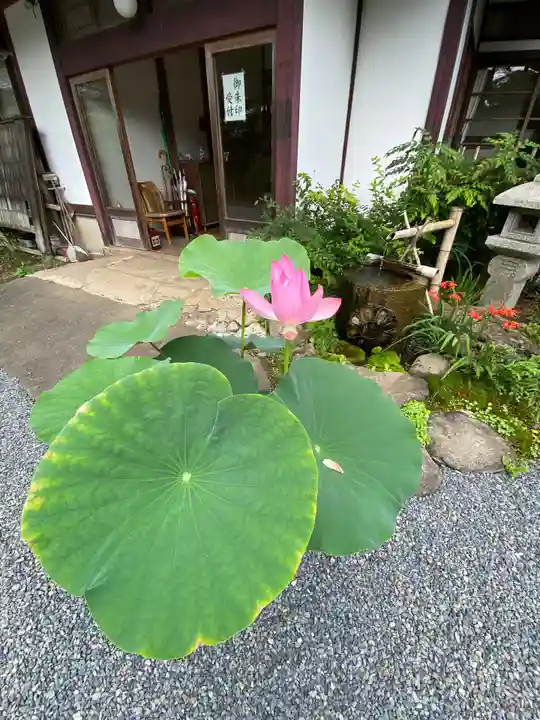 妙徳寺(栃木県)
