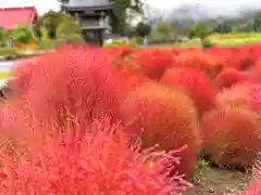 遠照寺(山梨県)