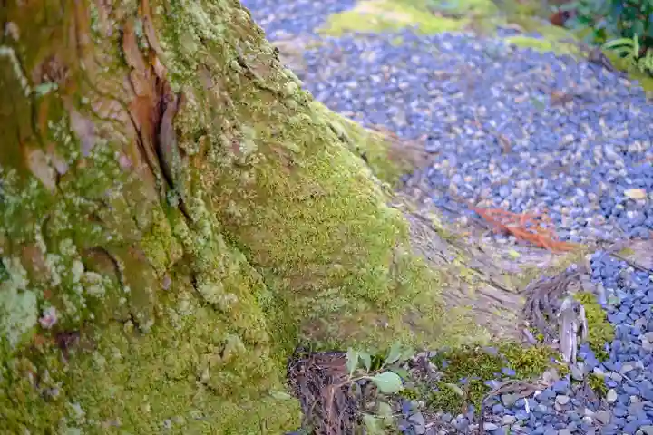 高山寺(京都府)