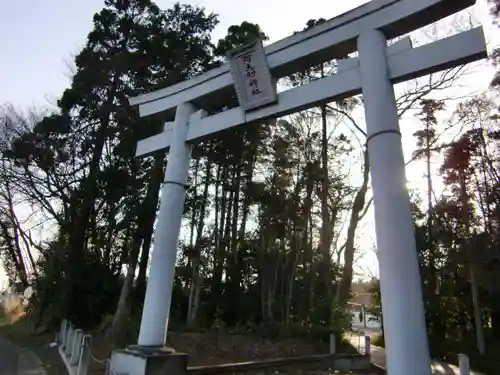 阿夫利神社の鳥居