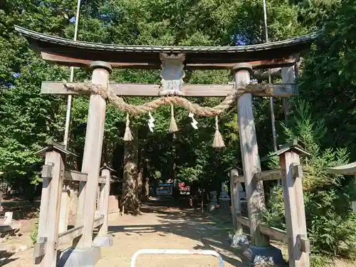 佐良志奈神社の鳥居