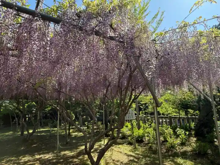 茨城縣護國神社(茨城県)