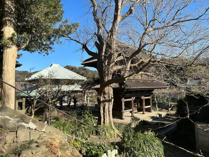 英勝寺の山門・神門