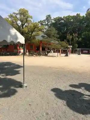 住吉神社の{uncategorized: "未分類", other: "その他", undefined: "問題あり", building: "その他建物", grave: "お墓", sacred_gate: "鳥居", guardian: "狛犬", statue: "像", buddha: "仏像", history: "歴史", nature: "自然", garden: "庭園", animal: "動物", pagoda: "塔", temizu: "手水舎", mountain_gate: "山門・神門", sanctuary: "本殿・本堂", subordinate: "末社・摂社", art: "芸術", scenery: "景色", jizo: "地蔵", ema: "絵馬", goshuin: "御朱印", omikuji: "おみくじ", items: "授与品その他", amulet: "お守り", goshuincho: "御朱印帳", eats: "食事", festival: "お祭り", votive_dance: "神楽", shichigosan: "七五三参", wedding: "結婚式", experience: "体験その他", initially: "初詣", around: "周辺", anti_infection: "感染症対策"}